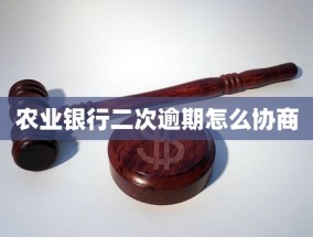 农业银行二次逾期怎么协商(农业银行企业网银初次使用全指南：注册、、安全设置等详细步骤解析)