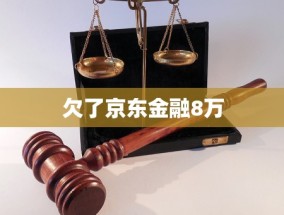 欠了京东金融8万