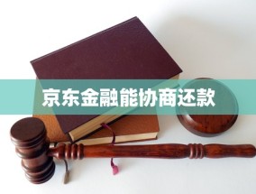 京东金融能协商还款(京东金融苹果手机下载)