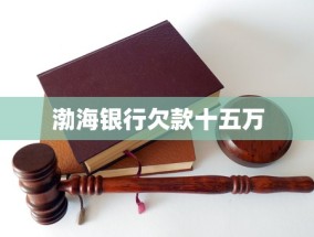 渤海银行欠款十五万