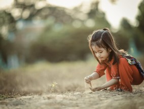 年金险一年大概多少钱，年金险一年交多少钱(年金险一年大概多少钱，年金险一年要交多少钱)